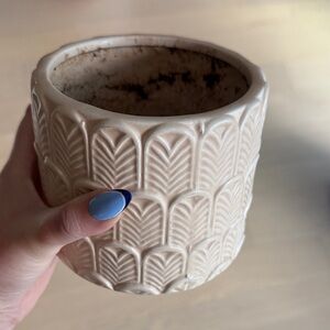 Pot